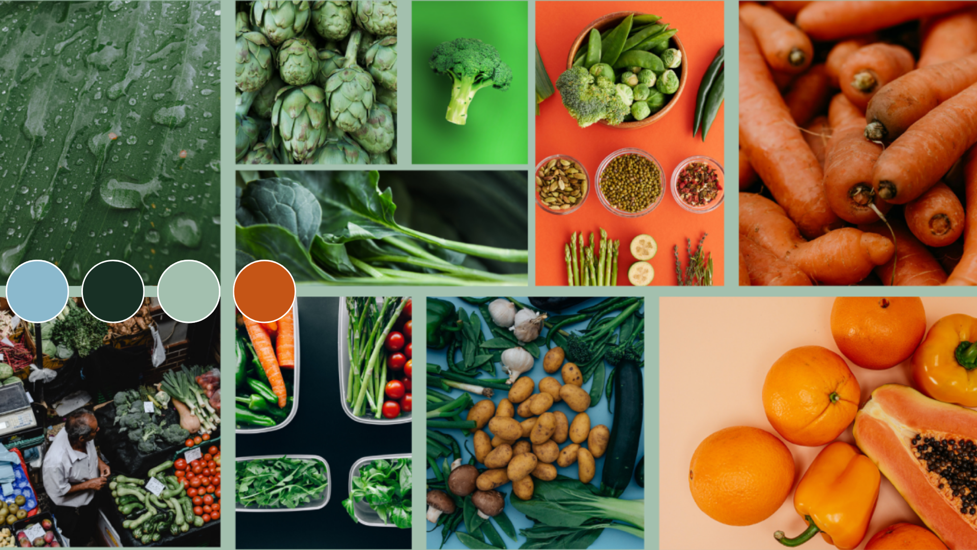 Sproot App Moodboard
